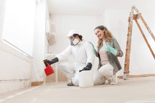 Best Mold Damage Restoration  in Horn Lake, MS